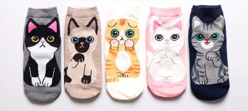 lot-5-paires-de-chaussettes-courtes-chat