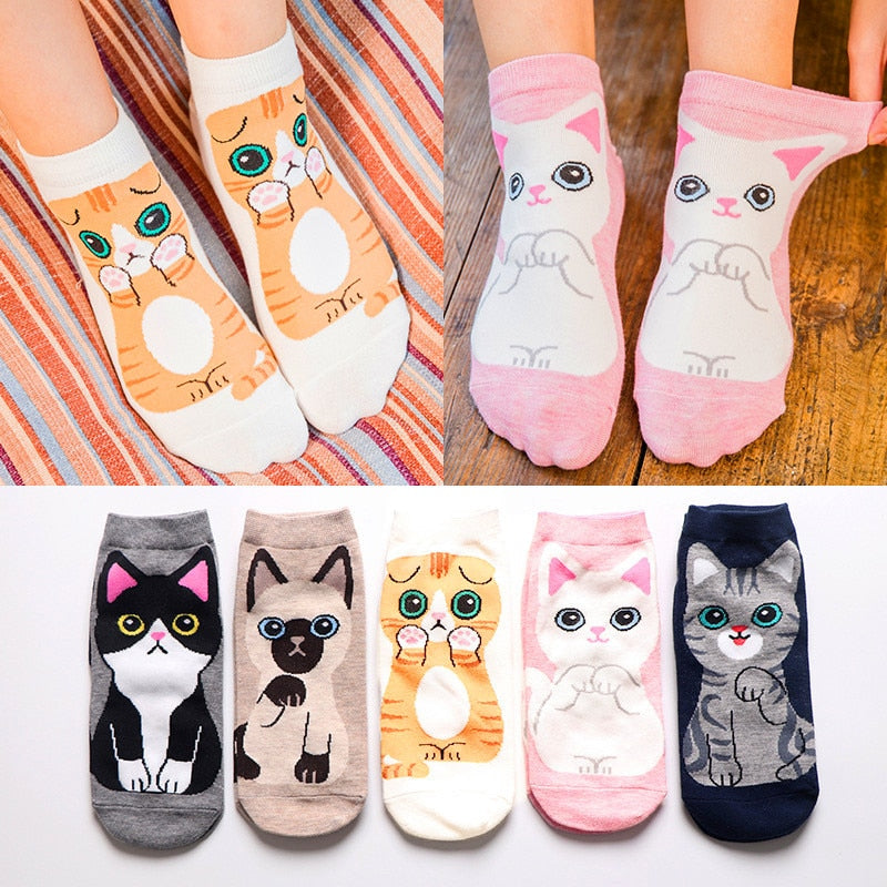 lot-5-paires-de-chaussettes-courtes-chat